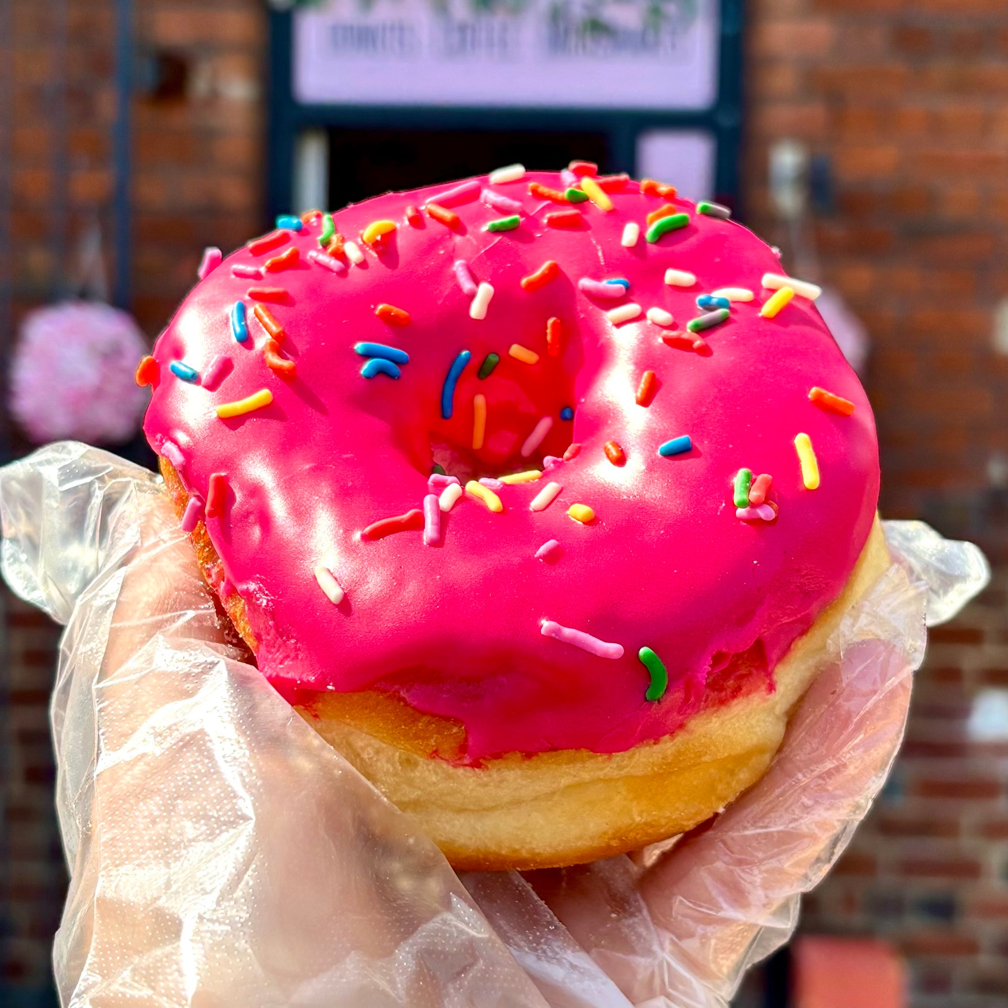Homer Ring Donut (Vegan)