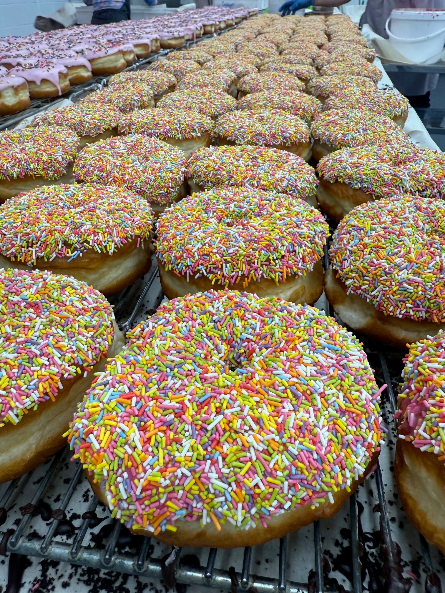 Box of 6 Sprinkles Ring Donuts (Vegan)